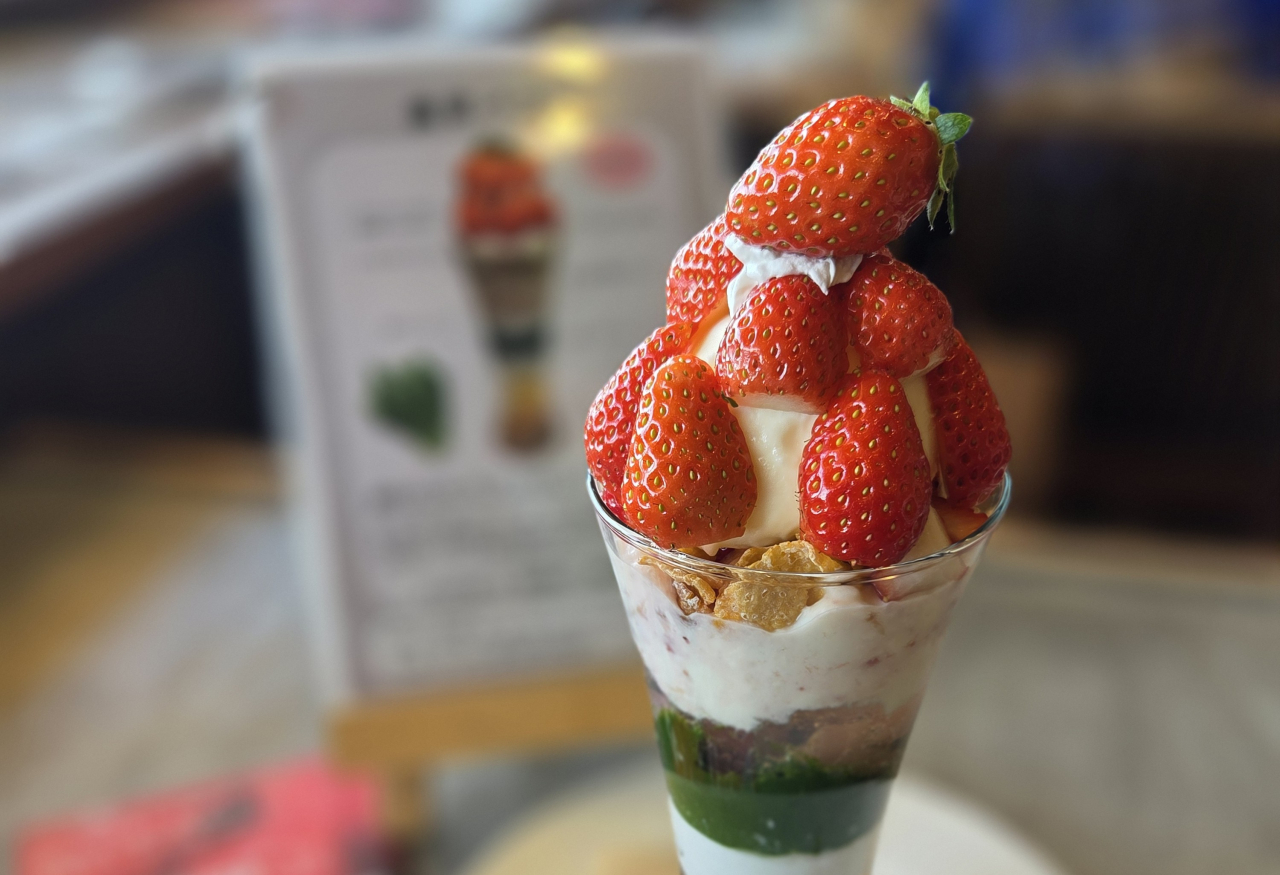 T202602_キングフィッシャーガーデン_02