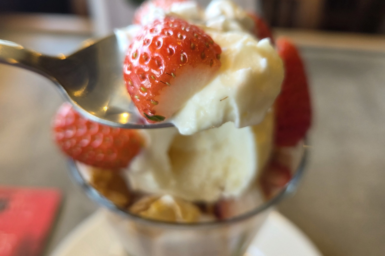 T202602_キングフィッシャーガーデン_03