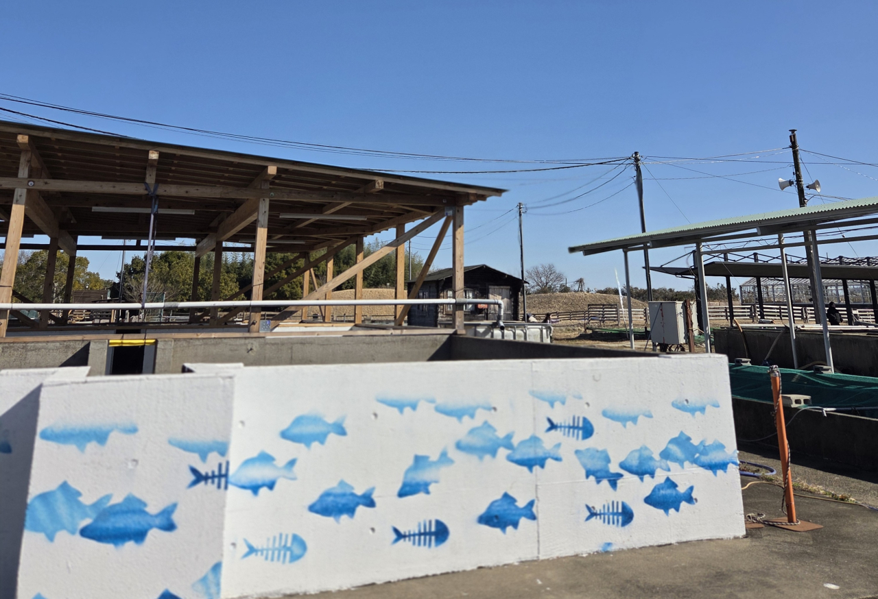 T202602_キングフィッシャーガーデン_04