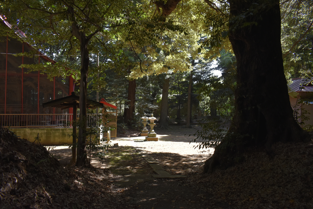 鷲野野香取神社1-4