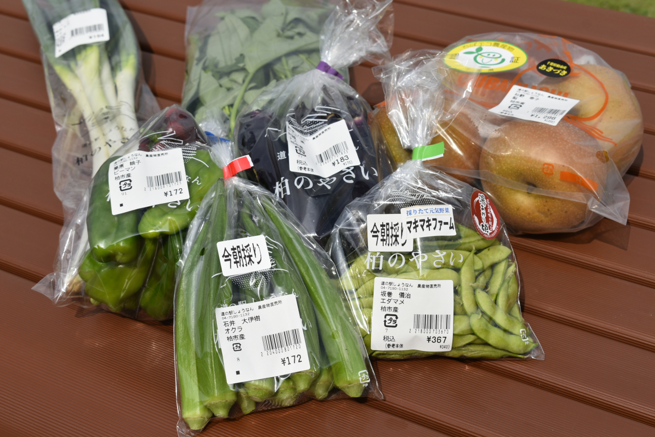 道の駅しょうなん_1-2