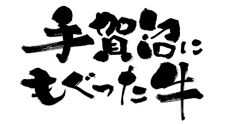 手賀沼にもぐった牛