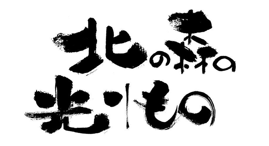 北の森の光りもの