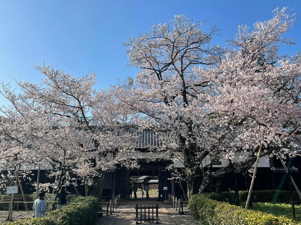 旧吉田家住宅01