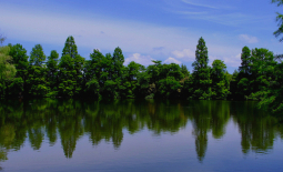 柏ビレジ水辺公園・柏ビレジ第五公園