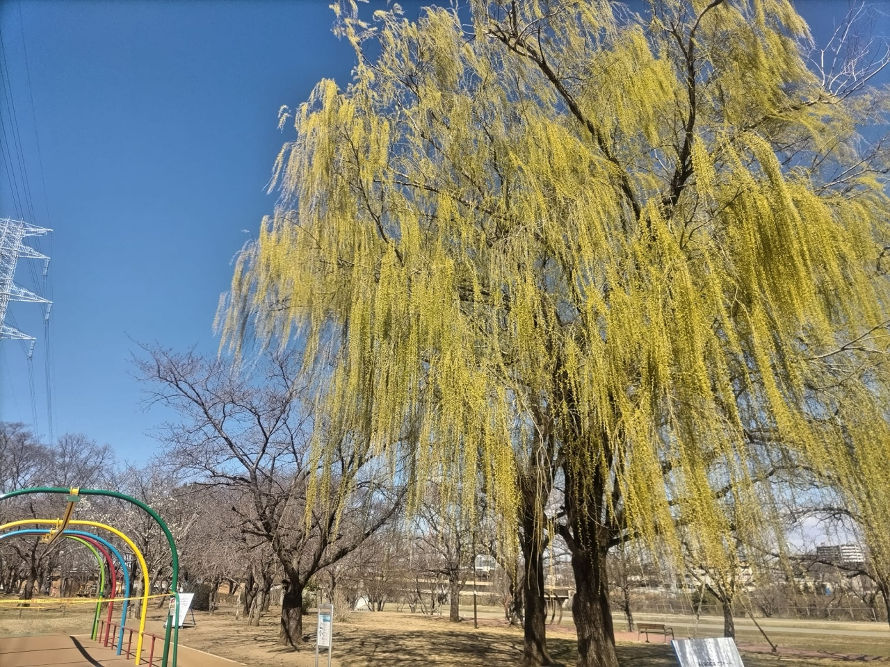 柏ふるさと公園02