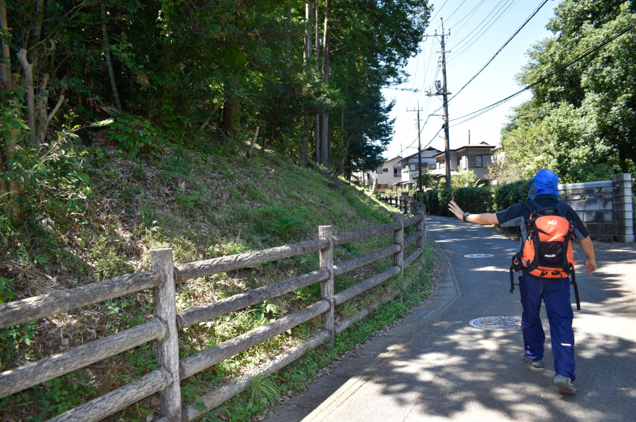 カタクリ群生地04