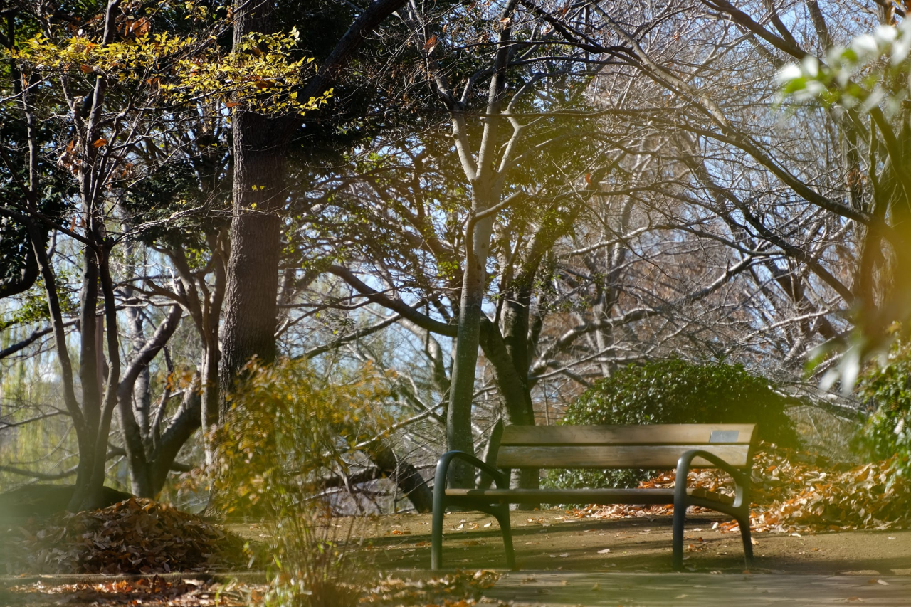 北柏ふるさと公園03