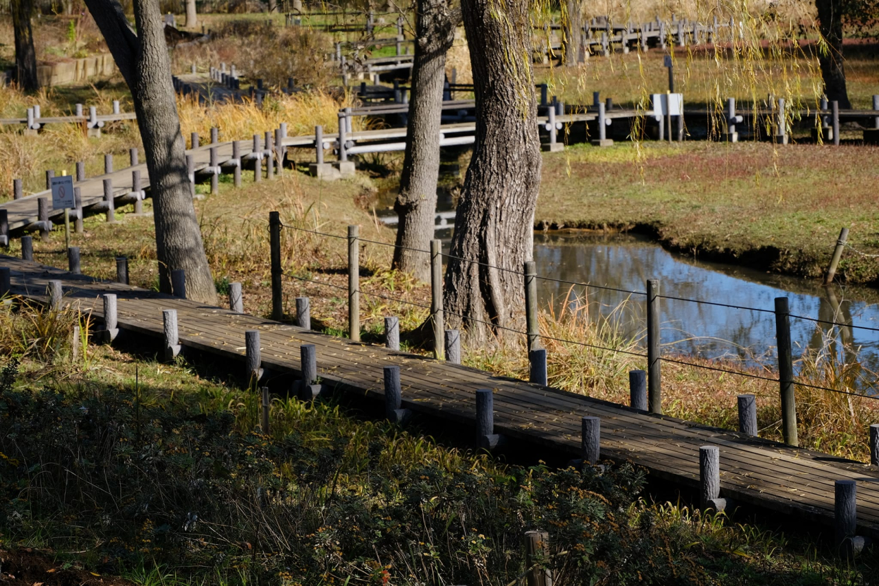 北柏ふるさと公園04