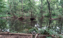 こんぶくろ池自然博物公園