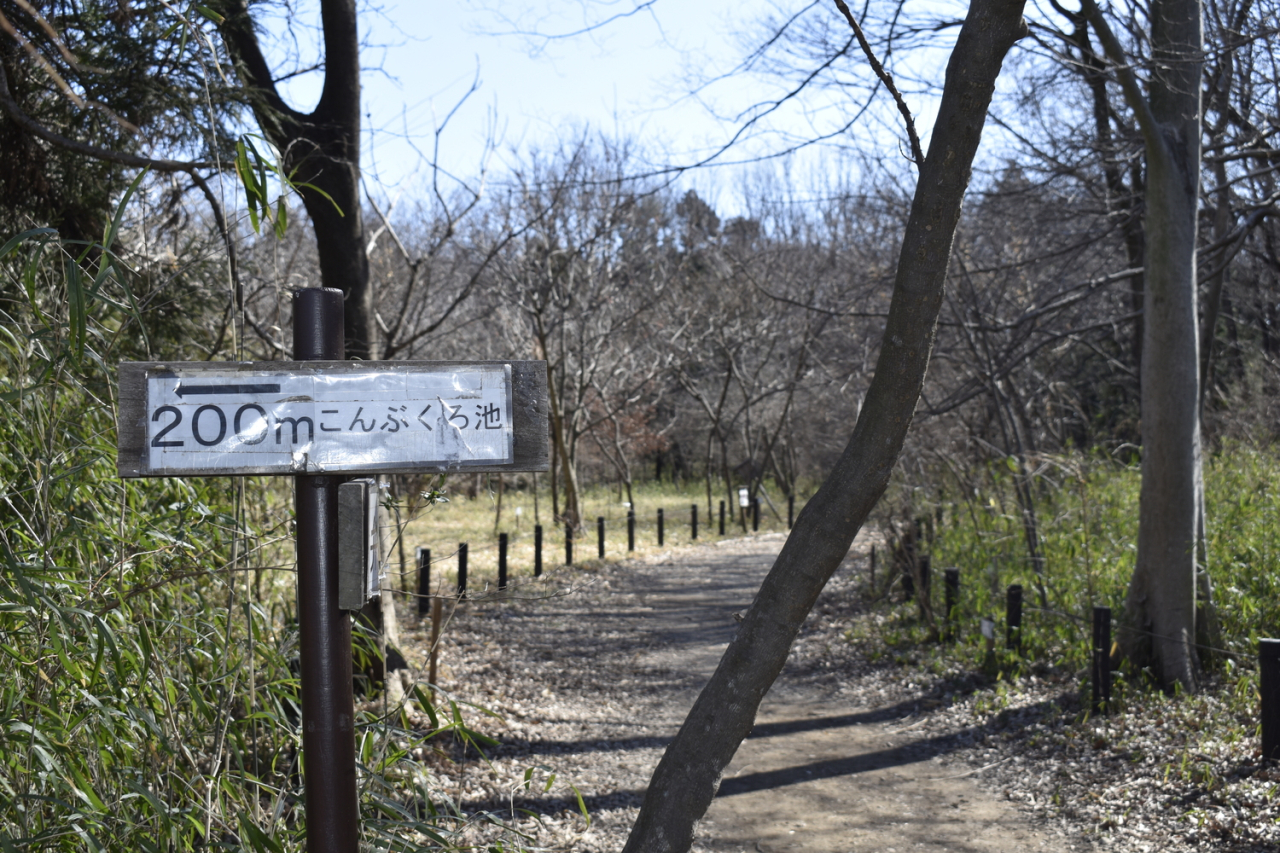 こんぶくろ池入口