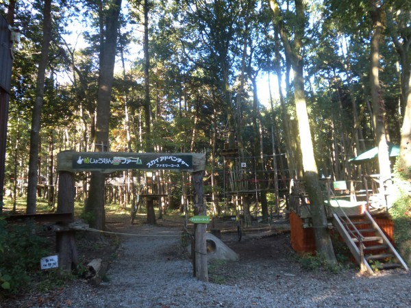 柏しょうなん夢ファーム