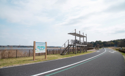 県立手賀沼自然ふれあい緑道