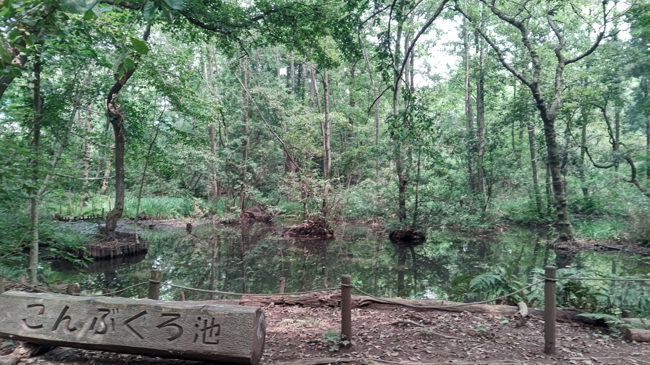 湧水こんぶくろ池01