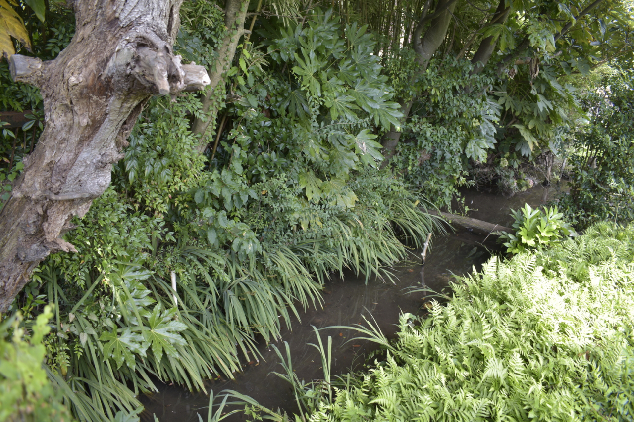 名戸ヶ谷湧水01