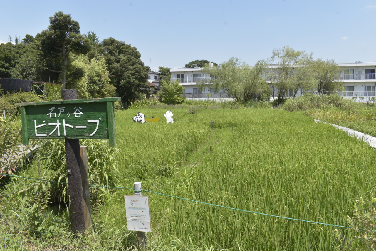 名戸ヶ谷湧水02