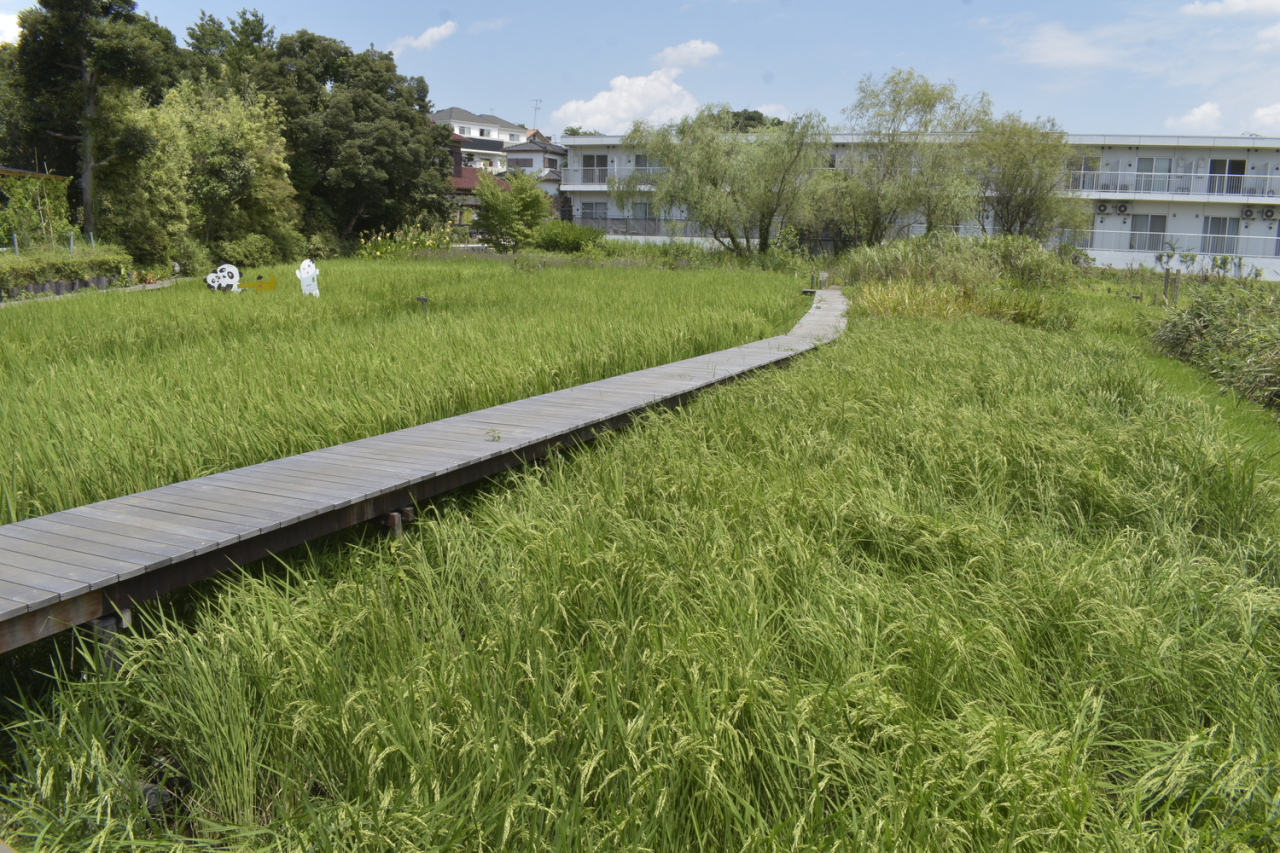 名戸ヶ谷湧水03