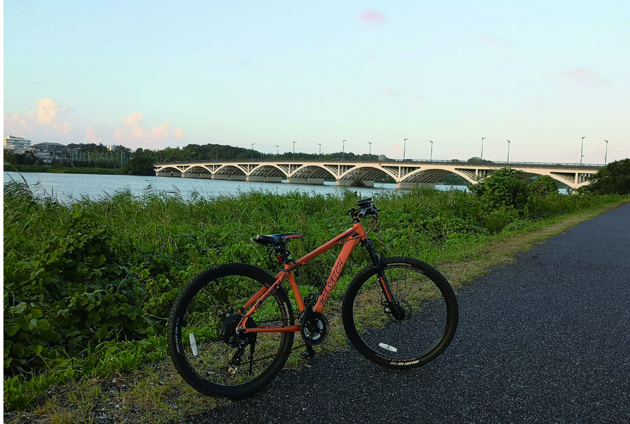 エンジョイ手賀沼