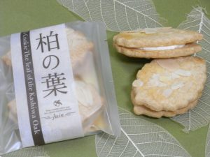 kashiwanoha-300x225[1]