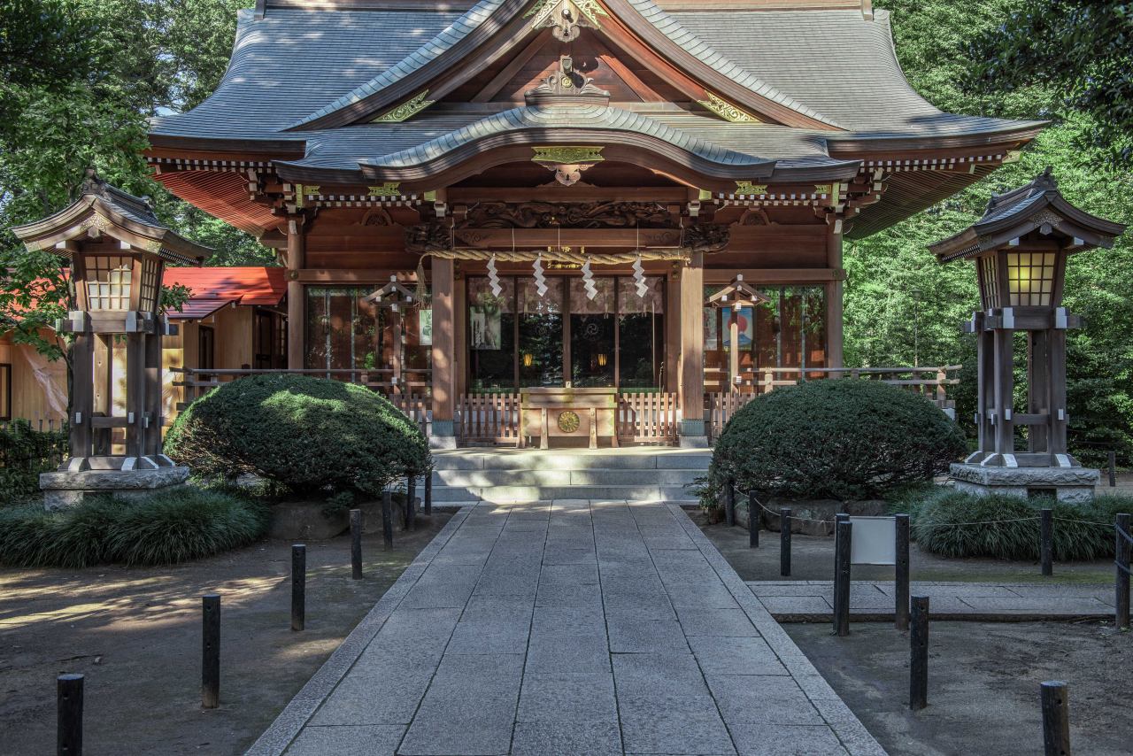 images2025111114301022 (1)